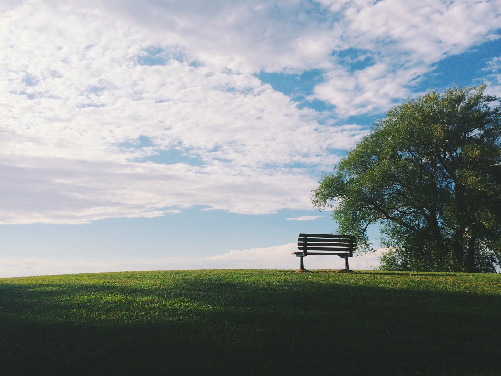 An empty bench on a hill near a tree representing taxes payable upon death in Ontario