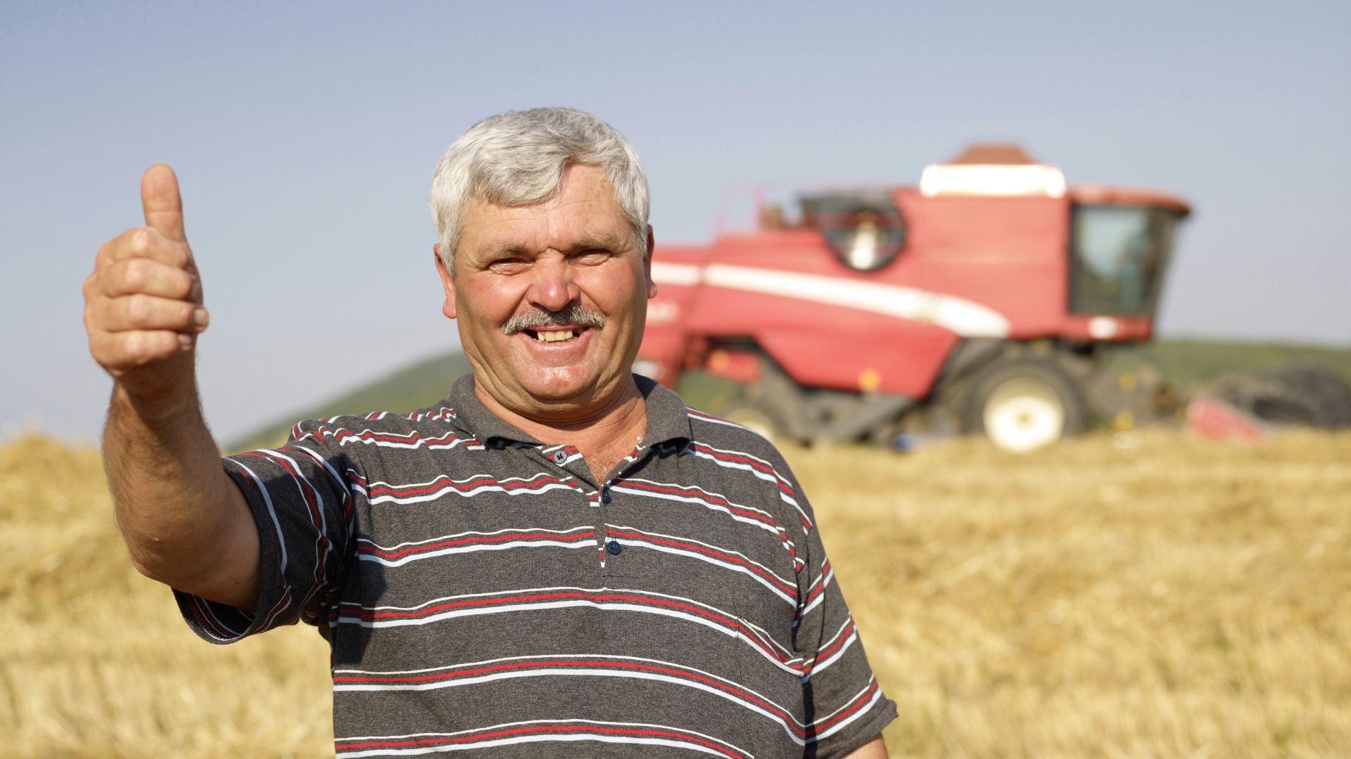 An image of a halton region farmer who has just discussed contract farming strategies with his local burlington CPA firm